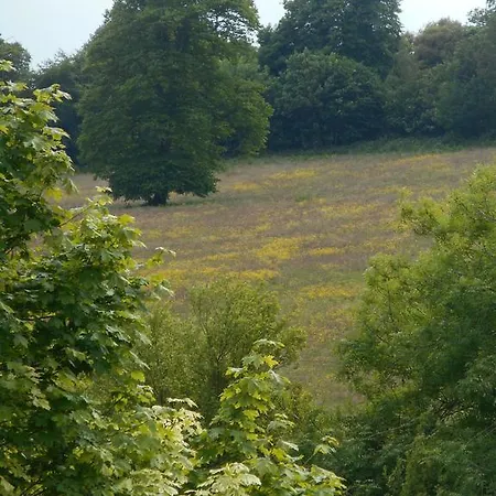 Diamond Hill Waterford