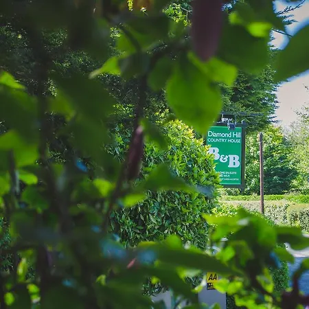 Diamond Hill