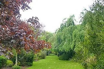 Diamond Hill