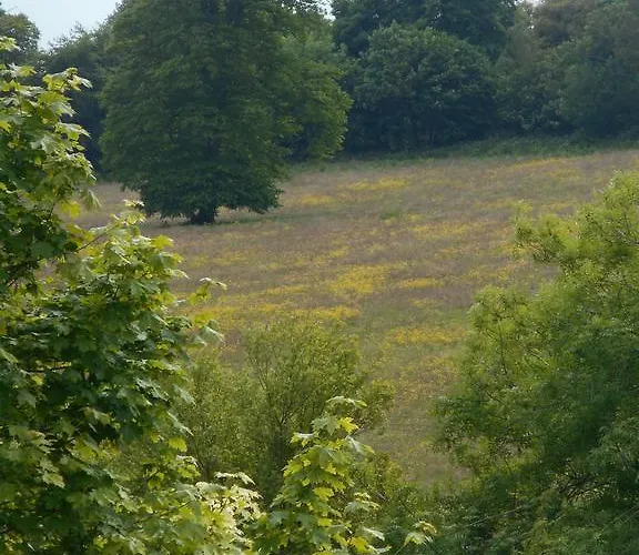 Diamond Hill Waterford