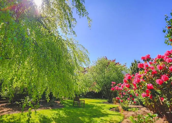 Nocleg ze śniadaniem Diamond Hill